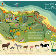 Plan PLOMARCH - illus + graphisme